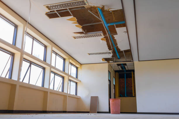 Best Water damage contractors near me  in Reading, MI