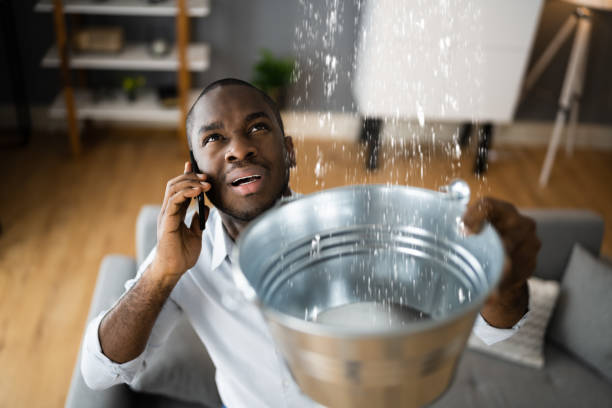 Best Emergency water damage restoration  in Reading, MI