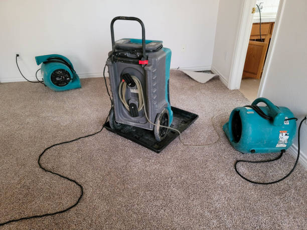 Best Residential water damage restoration  in Reading, MI