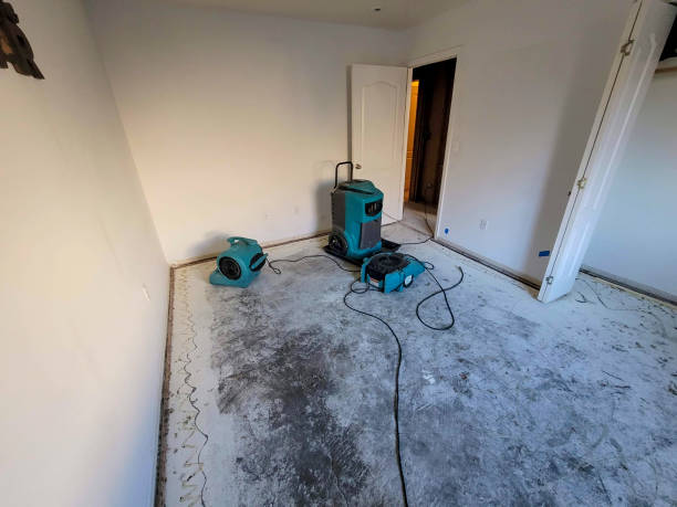 Best 24/7 water damage repair  in Reading, MI