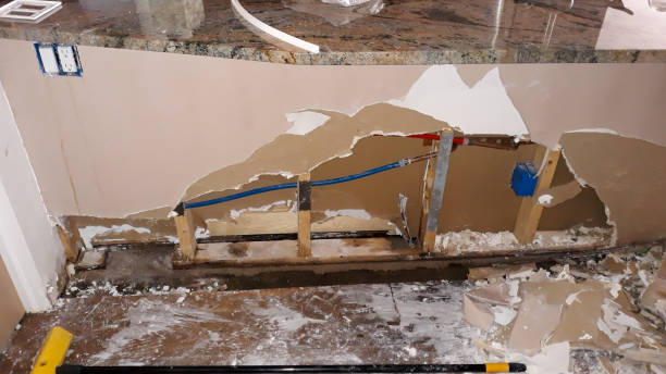 Best Flood restoration services  in Reading, MI