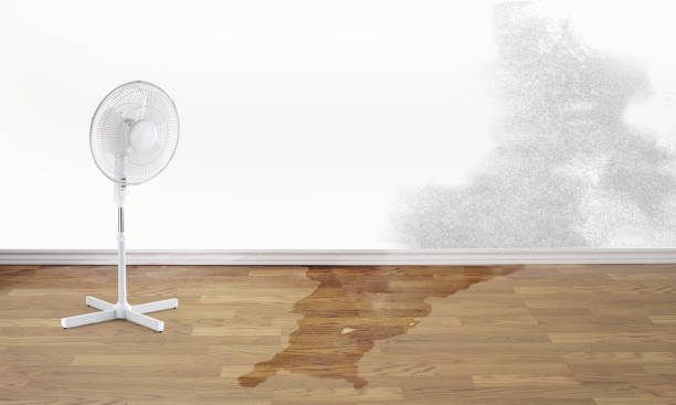 Best Residential water damage restoration  in Reading, MI