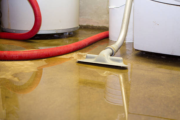  Reading, MI Water damage restoration Pros