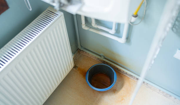 Best Water damage restoration cost  in Reading, MI