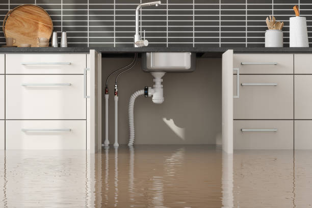 Best Sewage cleanup and water damage restoration  in Reading, MI
