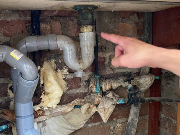 Best Basement water damage restoration  in Reading, MI