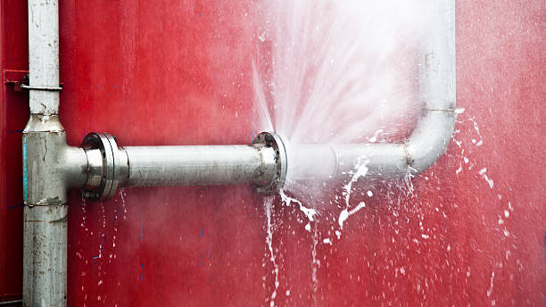 Best Water damage cleanup near me  in Reading, MI